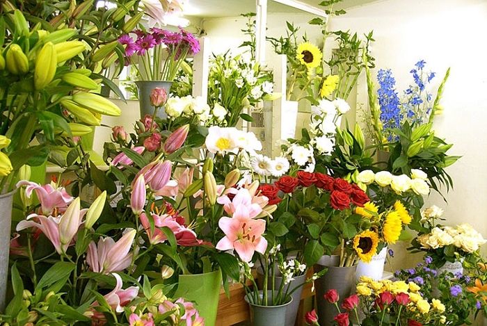 Top 10 cửa hàng hoa tươi uy tín nhất ở Huế - Bình An