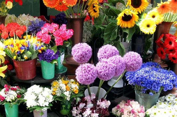 Danh sách 10 shop hoa tươi đáng tin cậy nhất ở Huế - Hana