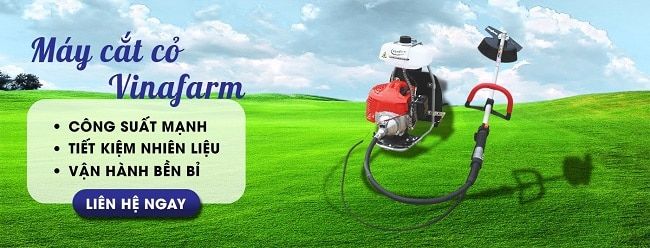 Máy cắt cỏ tại Vinafarm
