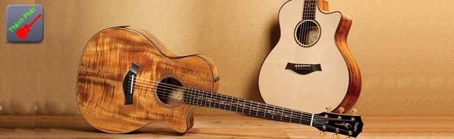 Khám phá đàn Guitar tại Nhạc Cụ Thành Phát