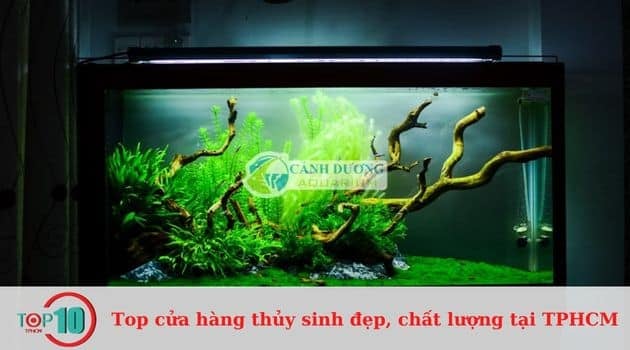 Cửa hàng Cảnh Dương