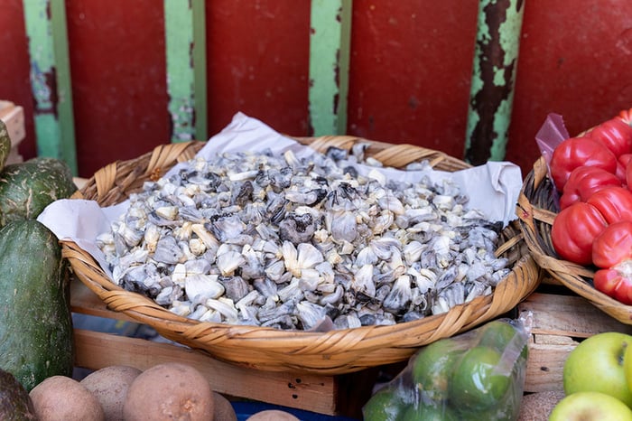 Huitlacoche, loại nấm mốc được xem như tinh hoa ẩm thực Mexico 9