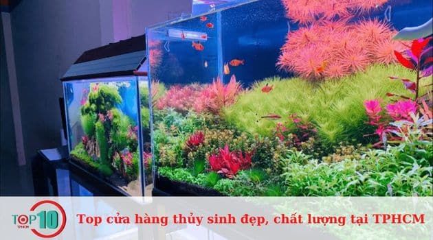 Các cửa hàng thủy sinh tại Sài Gòn