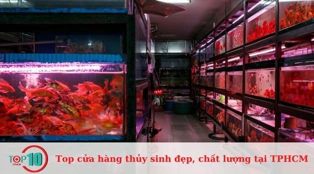 Cửa Hàng Đào Sỹ Uyên