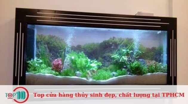 Cửa Hàng Hồ Cá Nam Hải Dương