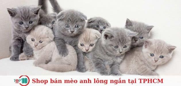 Nhà Vật Yêu