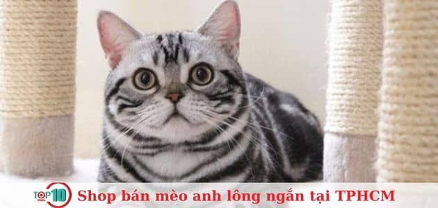 Pet shop Miền Đất Hứa