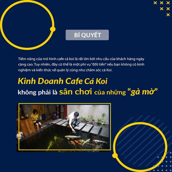 kinh doanh cafe cá koi