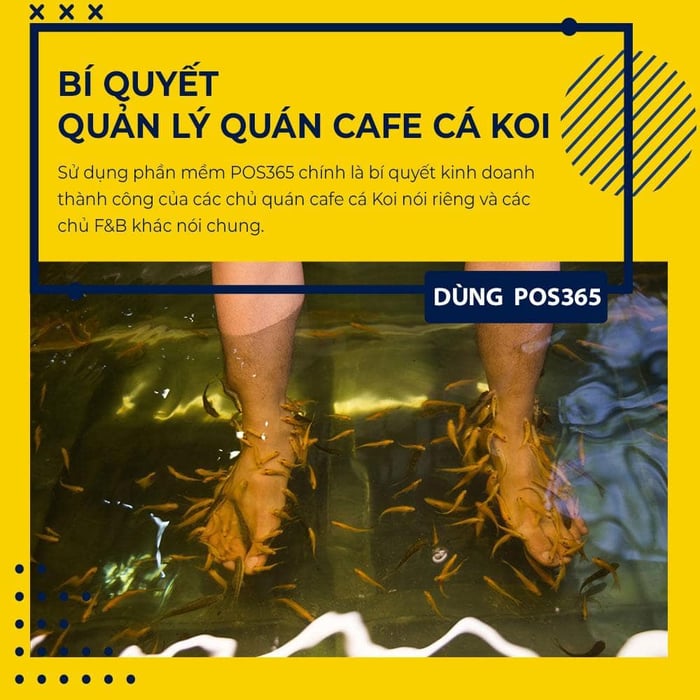 kinh doanh cafe cá koi