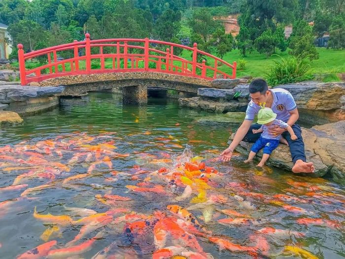 Hình ảnh Công viên Giải trí Wedding Land - Khu du lịch Thác Tiên 1