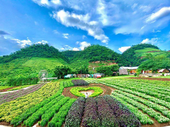 Hình ảnh 1 của Khu Du Lịch Mộc Châu Happy Land