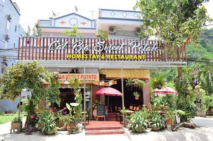 Hình ảnh Cat Ba Sweet Potato Homestay & Restaurant 2