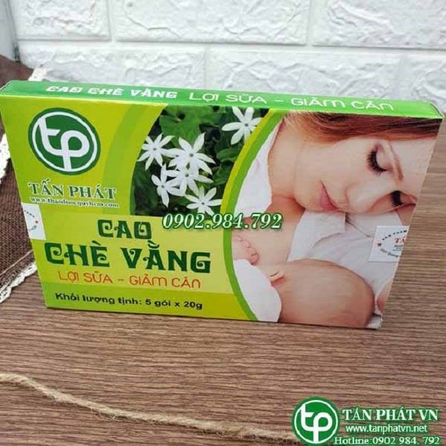 Cao chè vằng tại Tấn Phát