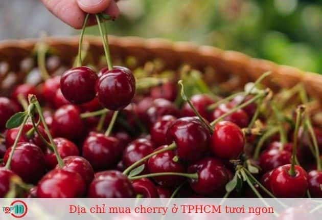 Thế Giới Trái Cây