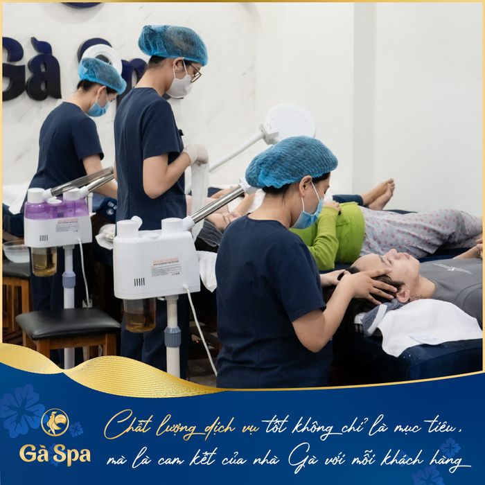 Hình ảnh 2 của Gà Spa