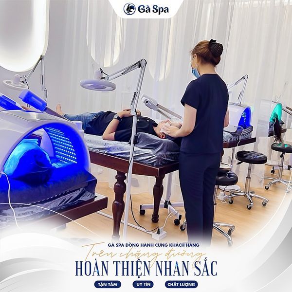 Hình ảnh 1 của Gà Spa