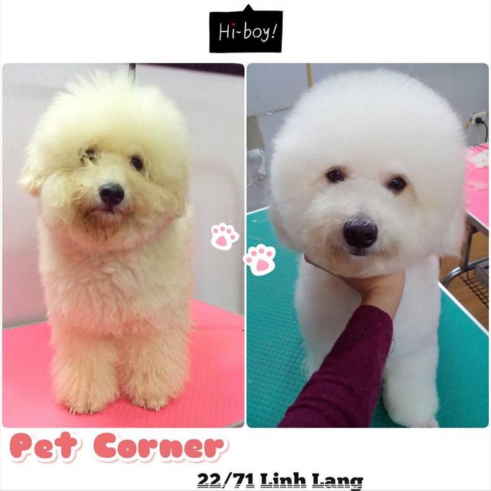 Hình ảnh Pet Corner 3