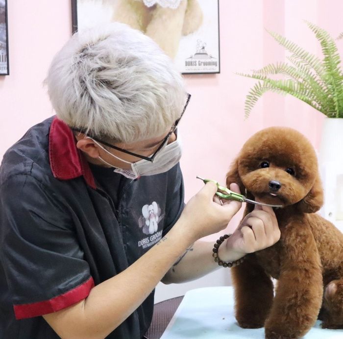 Hình ảnh DORIS Grooming 1