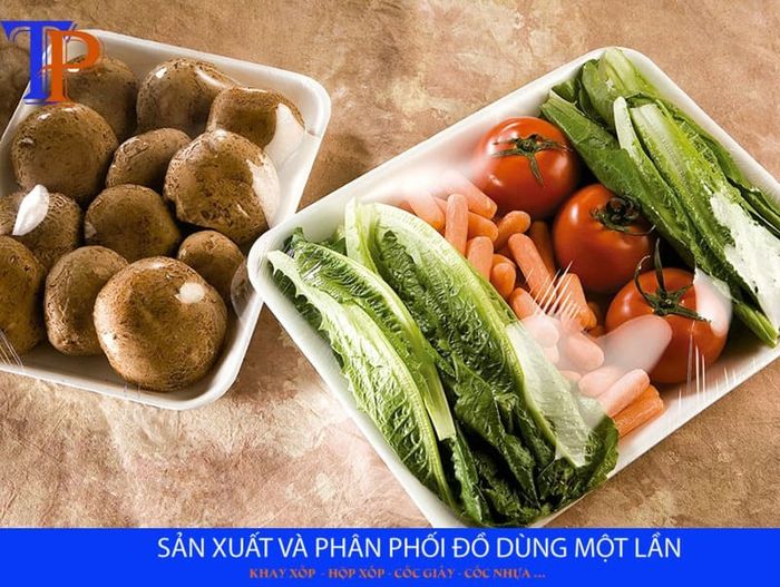 Sản phẩm tại Tiến Phong Plastic