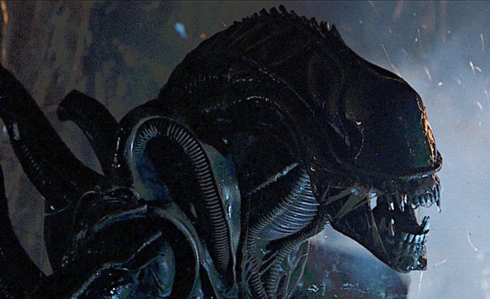 Xenomorph vẫn giữ nguyên sự ghê rợn như trước