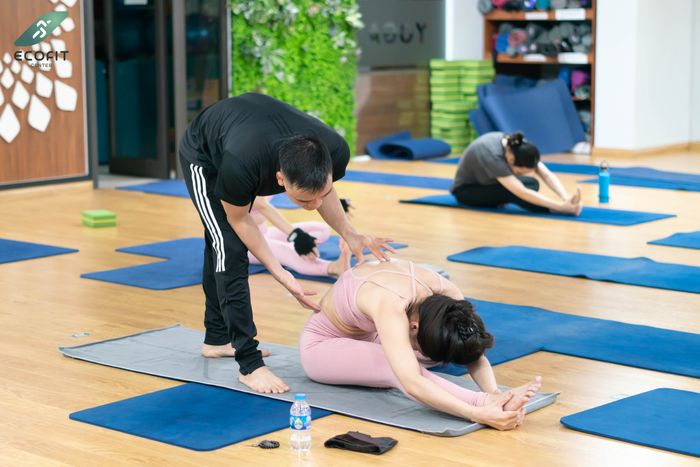 Hình ảnh Trung tâm Fitness & Yoga Ecofit 2