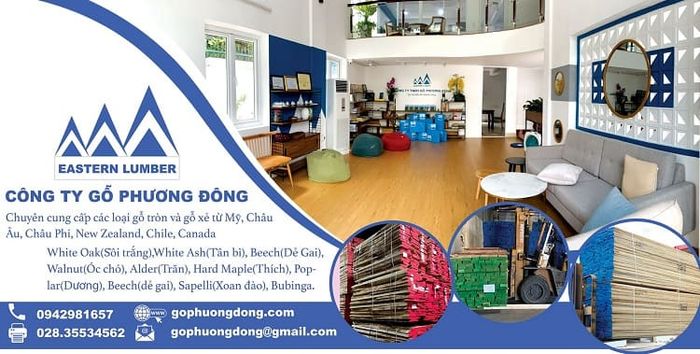 dịch vụ sửa chữa đồ gỗ tại nhà Hà Nội