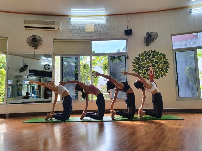 Hình ảnh Sunshine Yoga 1