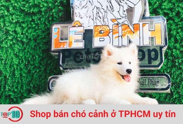 Cửa Hàng Chó Cảnh Lê Bình Pets