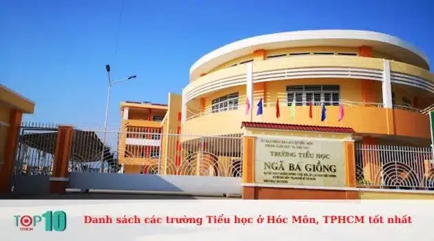 Trường Tiểu học Ngã Ba Giồng