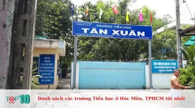 Trường Tiểu học Tân Xuân