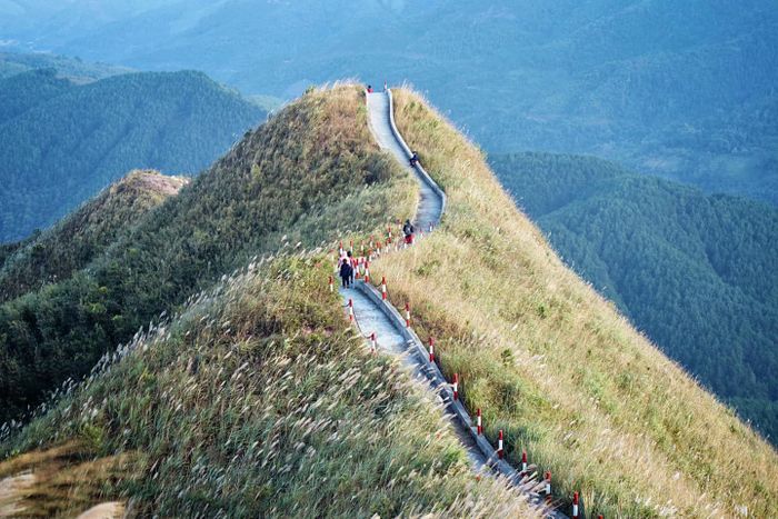 Bình Liêu Quảng Ninh - Vùng đất hoa cỏ lau tuyệt đẹp ảnh 2