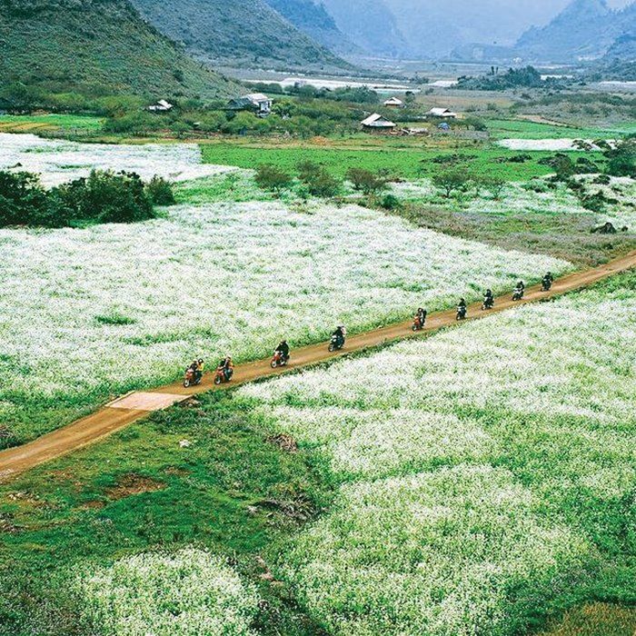 Thung lũng mận Nà Ka - Hình 1