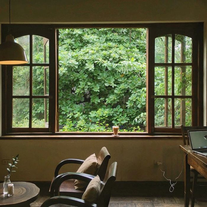 Góc nhỏ xinh tại The Backyard Restaurant & Bar ảnh 3
