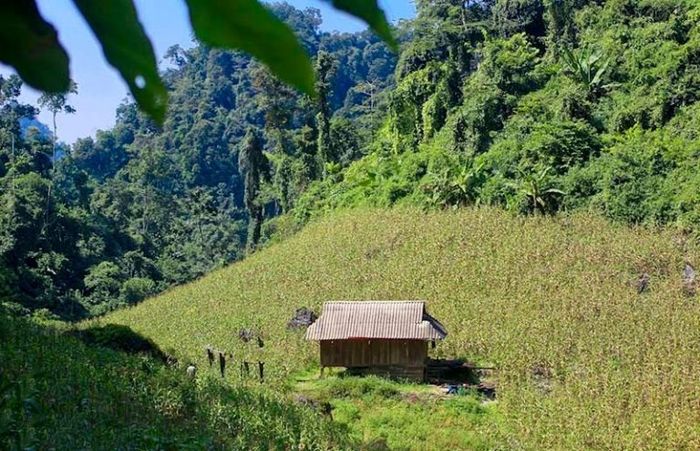 Ngũ Động Bản Ôn - Hình 2