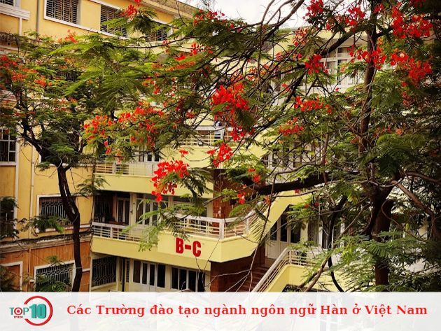 Danh sách các trường đào tạo ngành ngôn ngữ Hàn tại Việt Nam