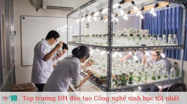 Đại học Khoa học Tự nhiên