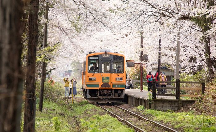 JR Pass, bí kíp di chuyển lý tưởng cho du khách tại xứ sở Mặt trời mọc 7