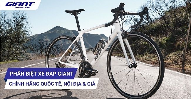 Xe đạp thể thao tại Giant International