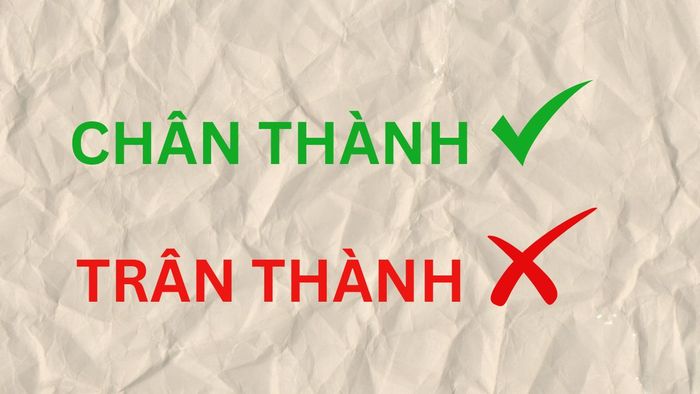 Sự nhầm lẫn giữa trân thành và chân thành