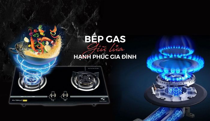 Hình ảnh bếp gas EURO SUN 1