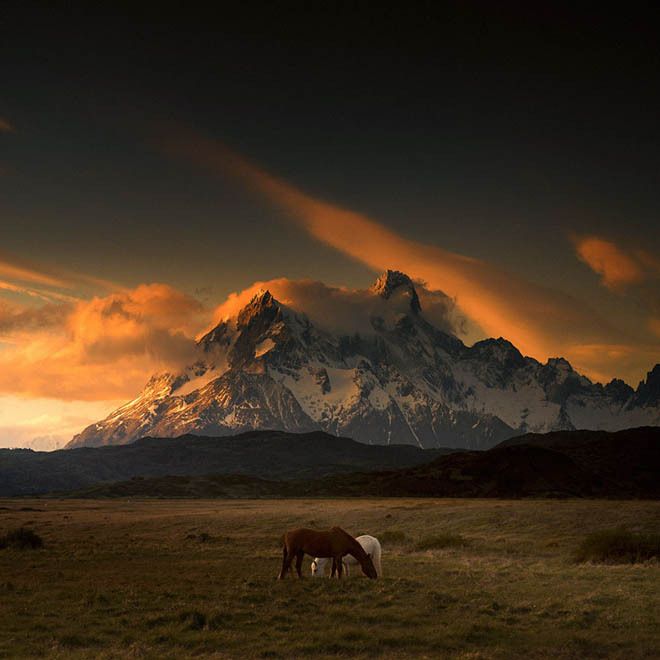 Hình ảnh Cao nguyên Patagonia 2