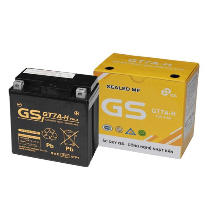 Ảnh ắc quy GS 2