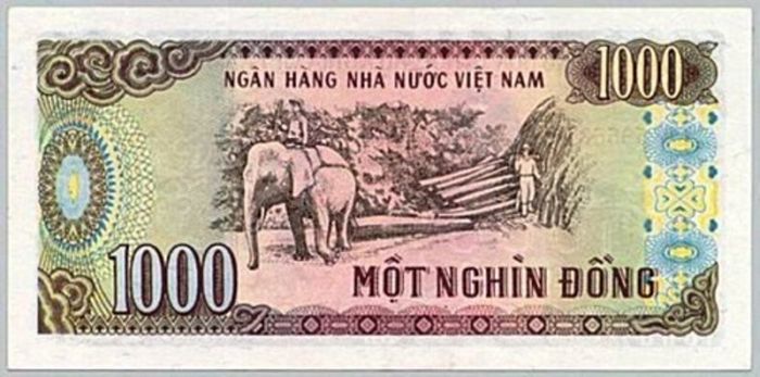 Cảnh khai thác gỗ - Mệnh giá 1.000 đồng (ảnh 2)