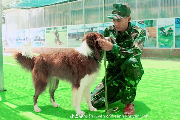 Trung tâm Đào Tạo Chó Cảnh Khuyển 24h - Ảnh 2