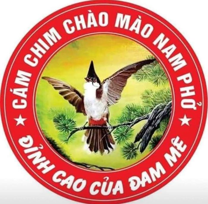 Cám Chim Nam Phở - Hình ảnh 1