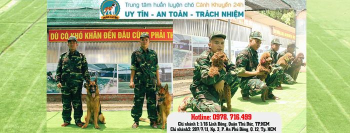 Trung tâm Đào Tạo Chó Cảnh Khuyển 24h - Ảnh 1