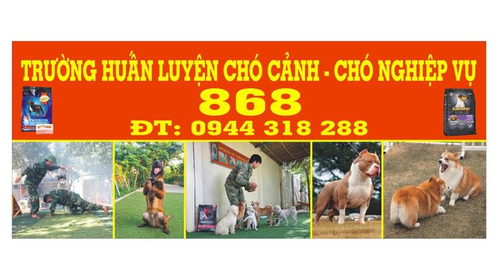 Trung tâm Đào Tạo Chó Nghiệp Vụ 868 - Ảnh 1