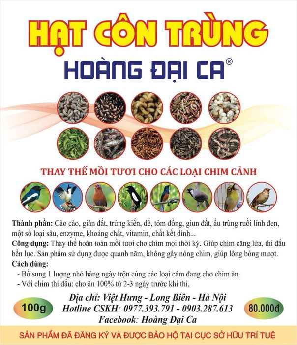 Hoàng Đại Ca - Thức Ăn Cho Chim Cảnh - Ảnh 1