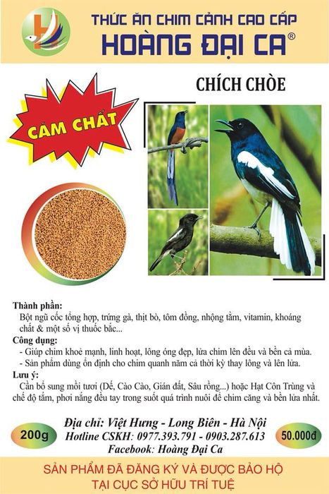 Hoàng Đại Ca - Thức Ăn Cho Chim Cảnh - Ảnh 2