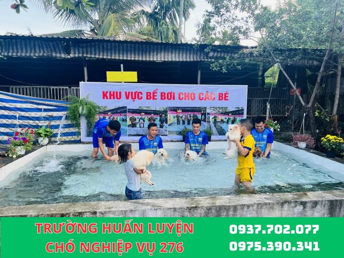 Trung Tâm Đào Tạo Chó Nghiệp Vụ 276 - Ảnh 2